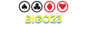 Logo BIGO23